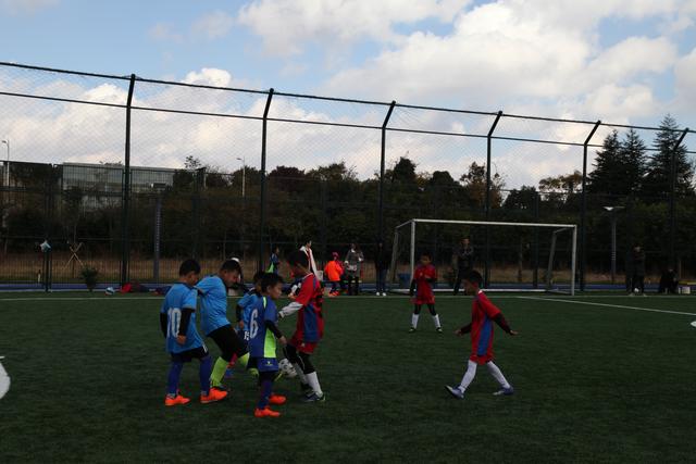 布莱克尼40+11同曦力克四川 北控送宁波11连败